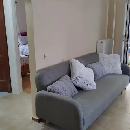 βραχατι-vrachati Family