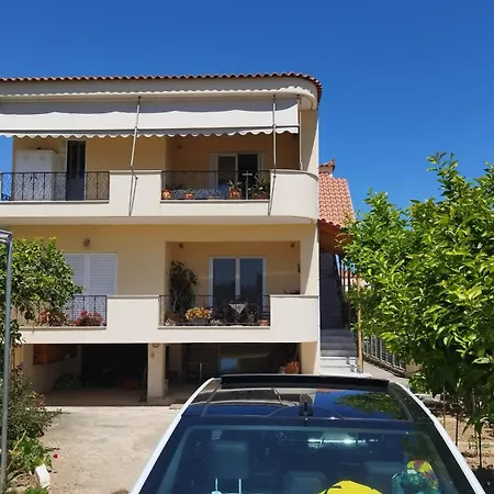 βραχατι-vrachati Family *