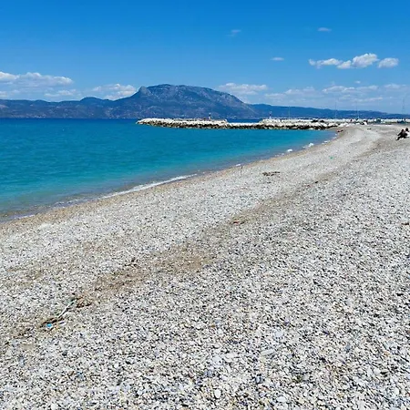 βραχατι-vrachati Family * Vraháti