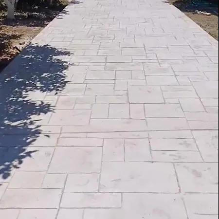 βραχατι-vrachati Family