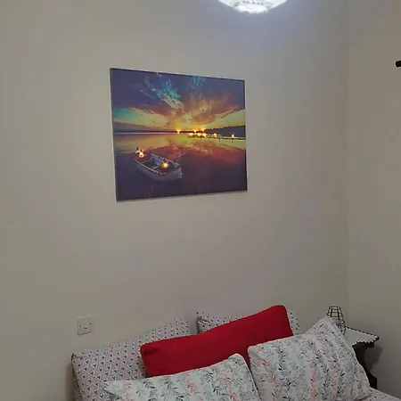 βραχατι-vrachati Family