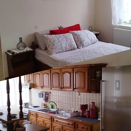 βραχατι-vrachati Family *