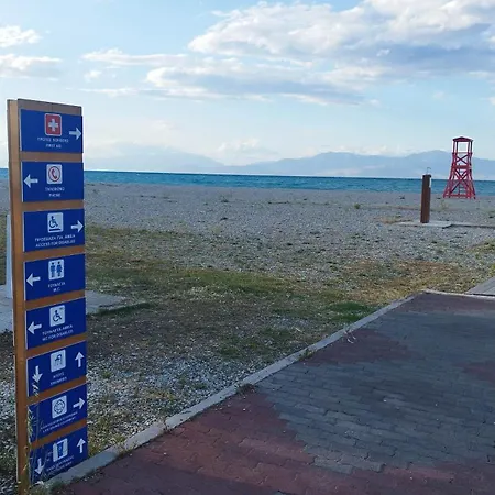 βραχατι-vrachati Family 沃拉哈蒂