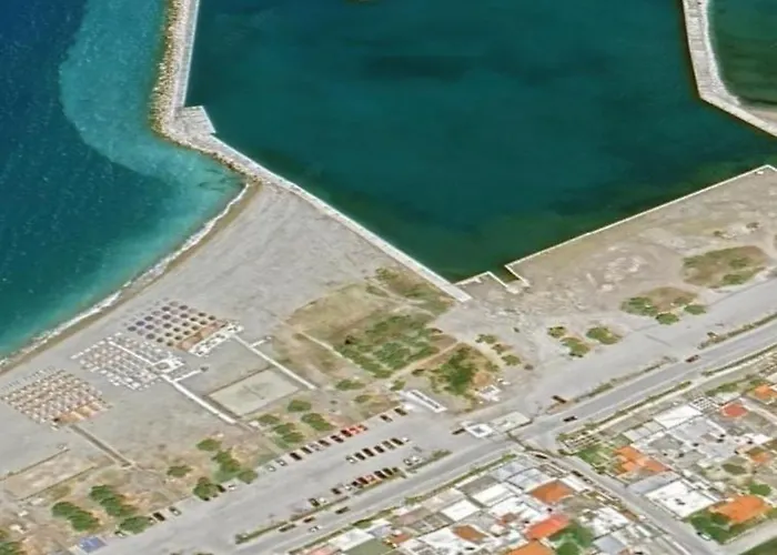 βραχατι-vrachati Family